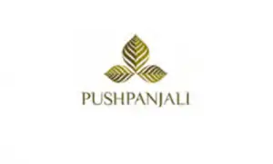 Pushpanjali Realms and Infratech IPO