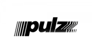 Pulz Electronics IPO