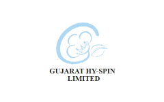 Gujarat Hy-Spin IPO