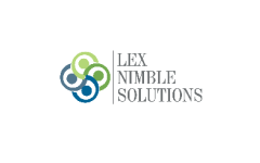 Lex Nimble Solutions IPO