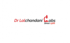 Dr Lalchandani Labs IPO