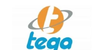 Tega Industries IPO Review