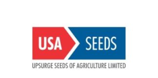 Upsurge Seeds IPO GMP
