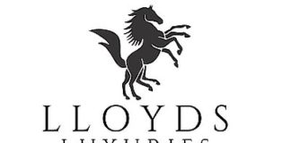 Lloyds Luxuries IPO GMP