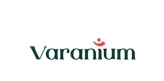 Varanium Cloud IPO GMP