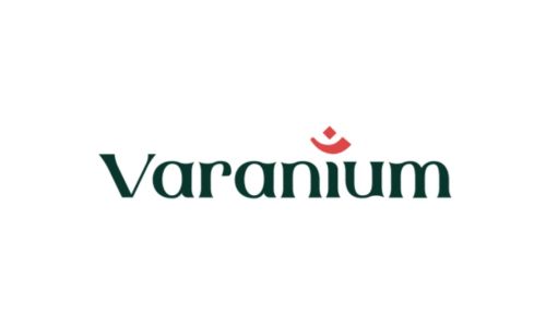 Varanium Cloud IPO GMP
