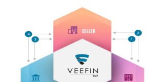 Veefin Solutions IPO