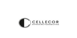 Cellecor Gadgets IPO GMP