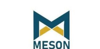 Meson Valves IPO GMP