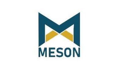 Meson Valves IPO GMP