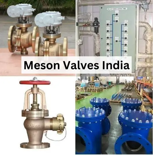 Meson Valves India