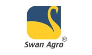 New Swan Multitech IPO GMP