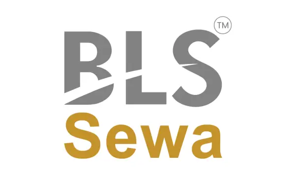 BLS E-Services IPO GMP