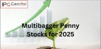 Multibagger Penny Stocks for 2025