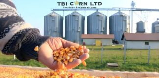 TBI Corn