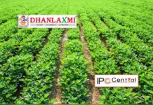 Dhanlaxmi Crop Science IPO Allotment Status