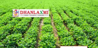 Dhanlaxmi Crop Science IPO Allotment Status