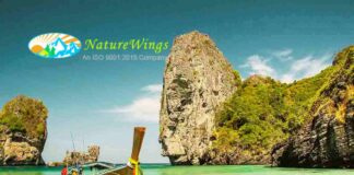 Naturewings Holidays IPO Allotment Status