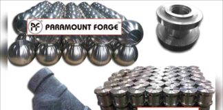 Paramount Forge IPO Allotment Status