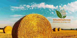 Shubhshree Biofuels IPO Allotment Status