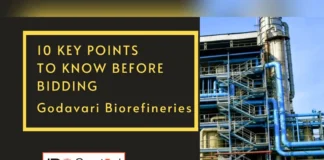 Godavari Biorefineries IPO Analysis