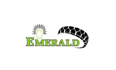 Emerald Tyre IPO GMP