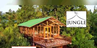 Jungle Camps IPO Allotment Status