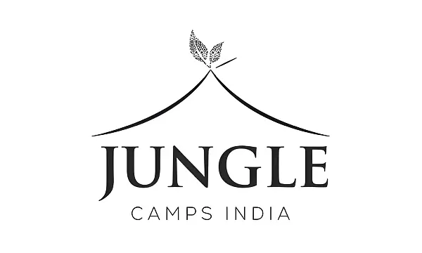 Jungle Camps IPO GMP