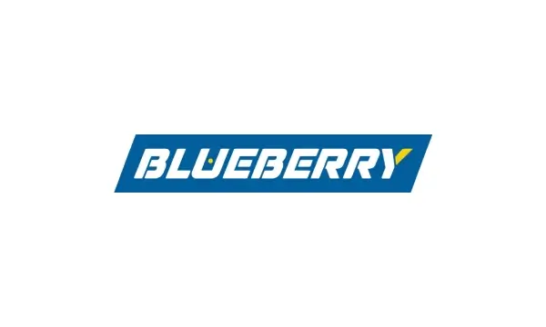 Blueberry Semiconductors