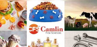 Camlin Fine Sciences Rights Issue Date