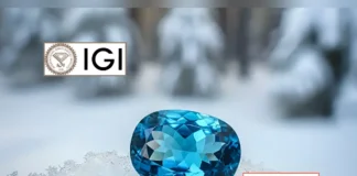 International Gemmological Institute IPO Subscription