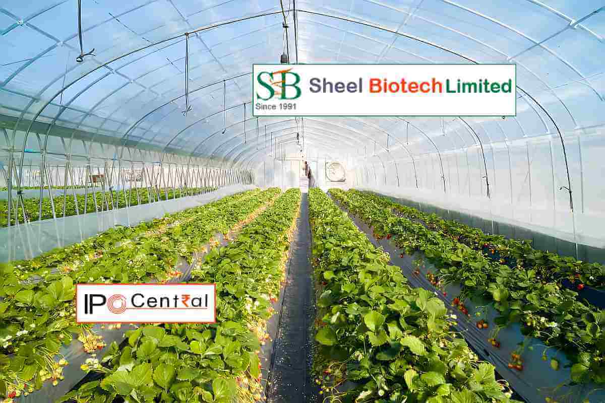 Sheel Biotech IPO Allotment Status
