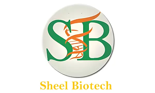 Sheel Biotech IPO GMP