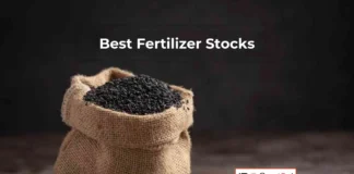 Best Fertilizer Stocks in India