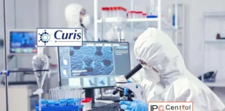 Curis Lifesciences IPO Allotment Status
