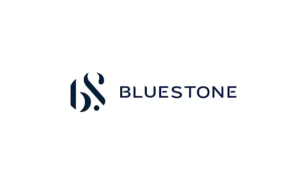 BlueStone Jewellery IPO GMP