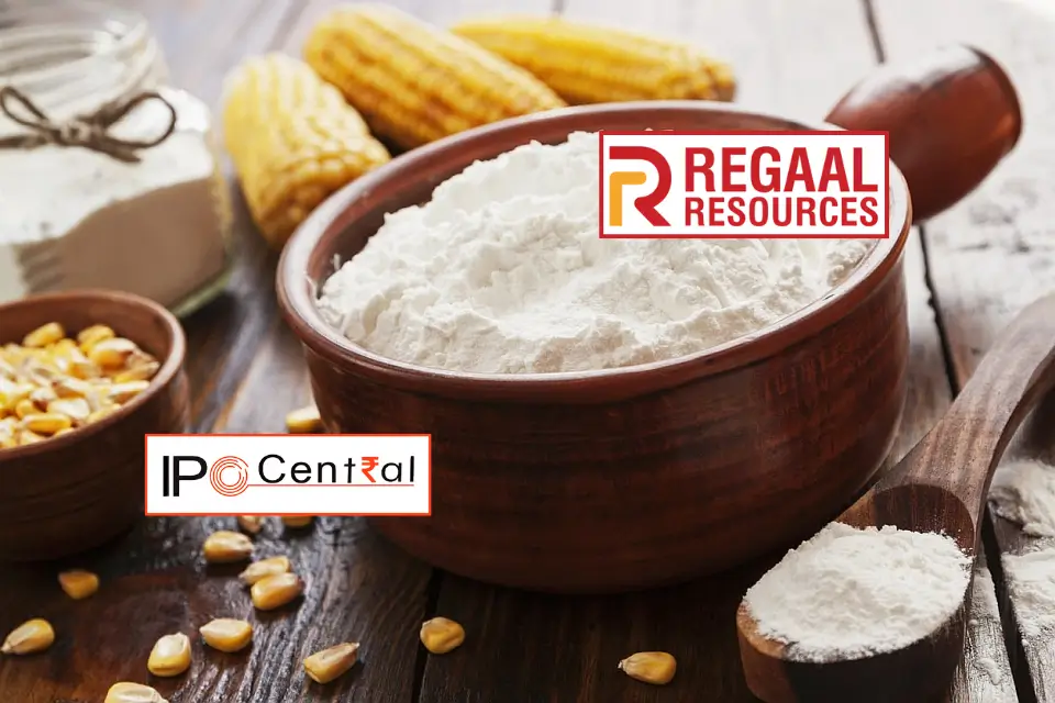 Regaal Resources IPO GMP, Price, Date, Allotment 2 Regaal Resources IPO Subscription