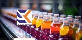 SK Minerals IPO Allotment Status