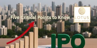 five critical points about Sri Lotus Developers IPO
