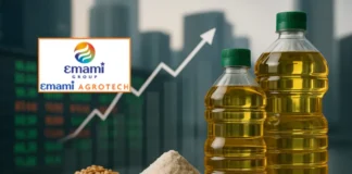 Emami Agrotech IPO