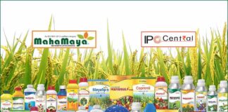 Mahamaya Lifesciences IPO Allotment Status