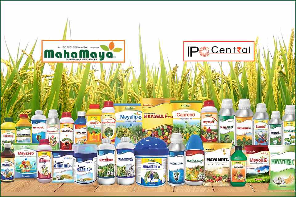 Mahamaya Lifesciences IPO Allotment Status