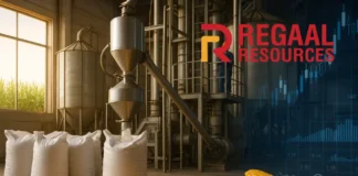 Regaal Resources business model Revenue stream analysis