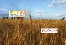 Elfin Agro India IPO GMP, Review, Price, Allotment Elfin Agro India IPO Allotment Status