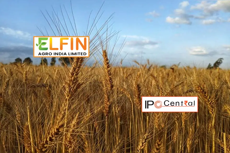 Elfin Agro India IPO Allotment Status