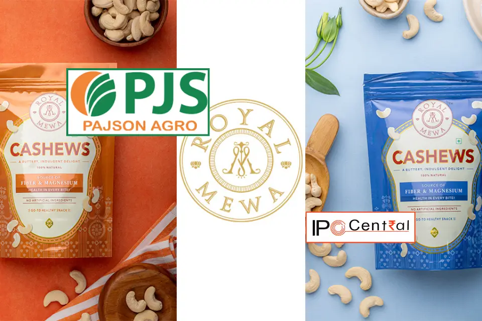Pajson Agro India IPO Allotment Status