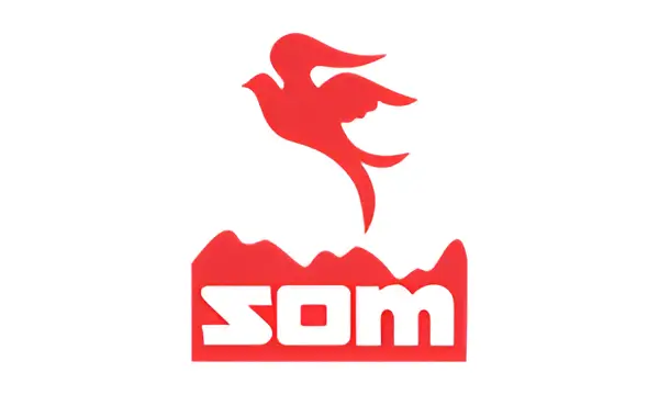 Top Alcohol Companies in India 9 Som Distilleries & Breweries