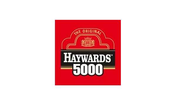 Best Beer Brands in India 4 haywards 5000