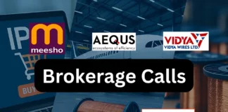 Before You Apply to Meesho IPO