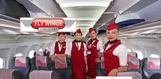 Flywings Simulator IPO Allotment Status